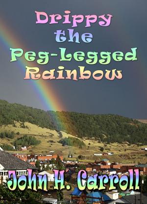 Cover of the book Drippy the Peg Legged Rainbow by John H. Carroll