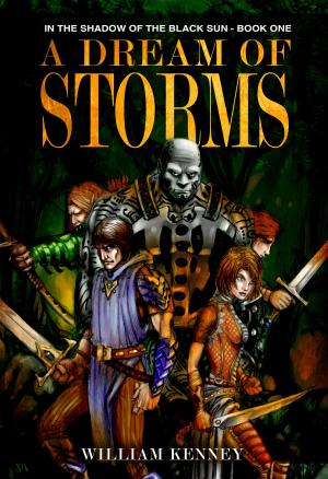 Cover of the book A Dream of Storms, In the Shadow of the Black Sun: Book One by Bill Fitts