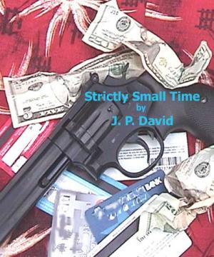 Cover of the book Strictly Small Time by Kris Calvert