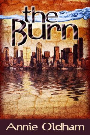 Cover of The Burn