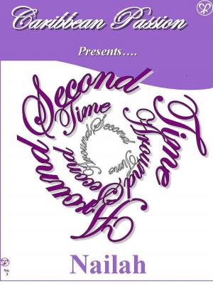 Cover of the book Second Time Around by Sherilee Gray