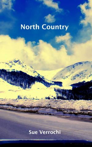 Cover of the book North Country by Ben Kalcher