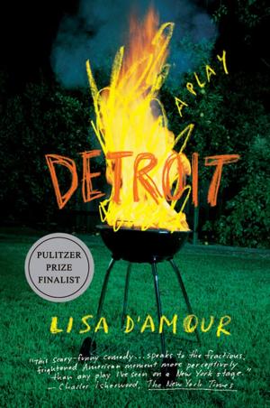 Cover of the book Detroit by Ted Widmer
