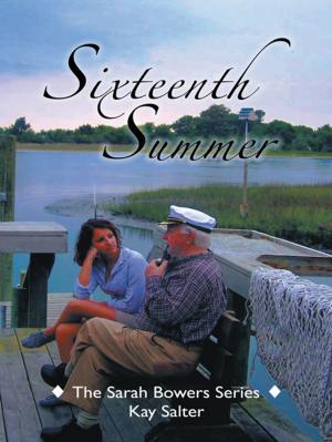 Book cover of Sixteenth Summer