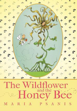 Cover of the book The Wildflower and the Honey Bee by George Ki. Kron