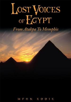 Cover of the book Lost Voices of Egypt by Tom Cole