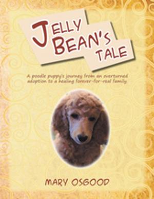 Cover of Jelly Bean's Tale by Mary Osgood, Xlibris US