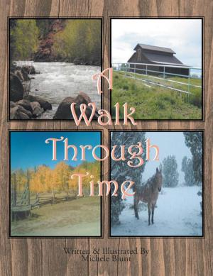 Cover of the book A Walk Through Time by Herbert W. Herbert W. Hobler