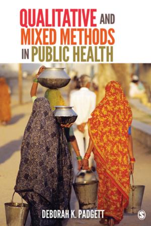 Cover of the book Qualitative and Mixed Methods in Public Health by Mr Rob Paton