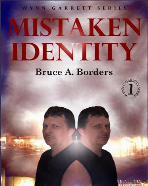Cover of the book Mistaken Identity by Ron Nicholson