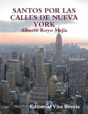 Cover of the book Santos por las calles de Nueva York by Peter Blank, Wolfgang Weber
