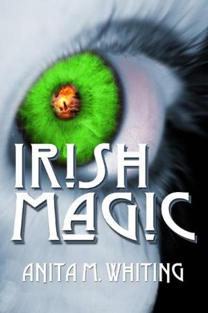 Cover of the book Irish Magic by Sheri L. McGathy