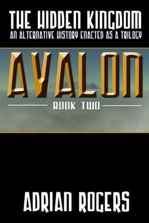 Cover of the book Avalon by Terry Lloyd Vinson