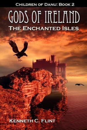 Cover of the book The Enchanted Isles by JD Williams