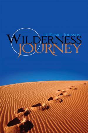 Cover of the book Wilderness Journey by Dr. Daniel W. Cowans, Sr.