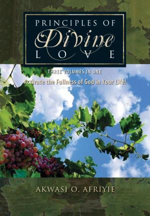 Cover of the book Principles of Divine Love by Victoria Saccenti