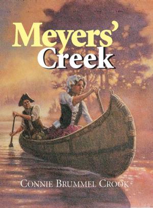 Cover of the book Meyers' Creek by John Weinstein