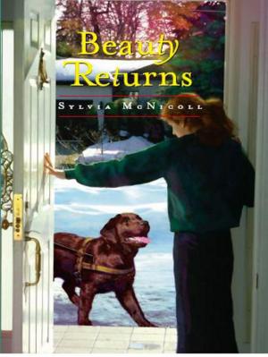 Cover of the book Beauty Returns by John Weinstein
