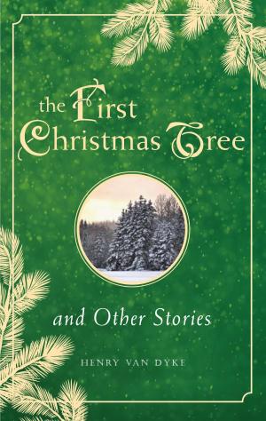 Cover of the book First Christmas Tree and Other Stories by Lori S Brizee, Sue Schumann Warner