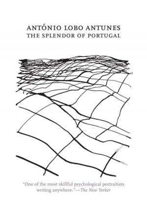 Book cover of The Splendor of Portugal