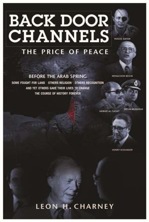 Cover of the book Back Door Channels by Hickman Powell