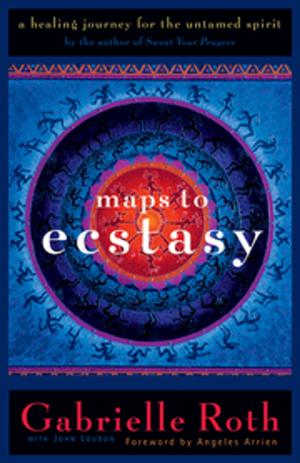 Cover of the book Maps to Ecstasy by Shawn Messonnier, DVM