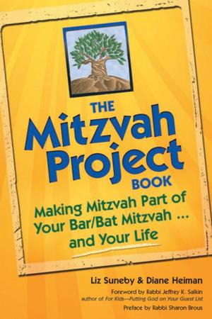 Book cover of The Mitzvah Project Book