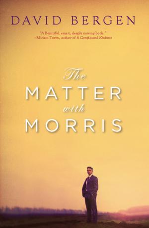 Cover of the book The Matter with Morris by David Burke