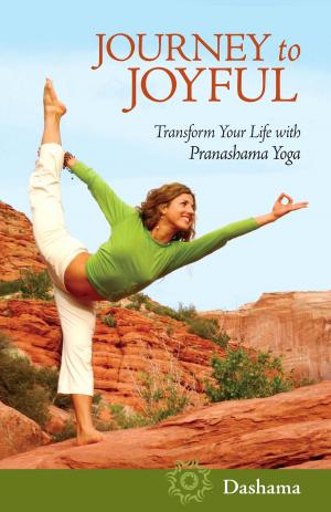 Cover of Journey to Joyful