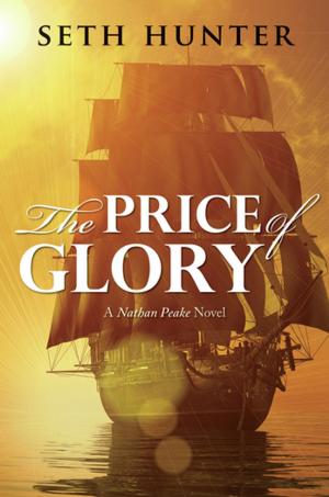 Cover of the book Price of Glory by John Biggins