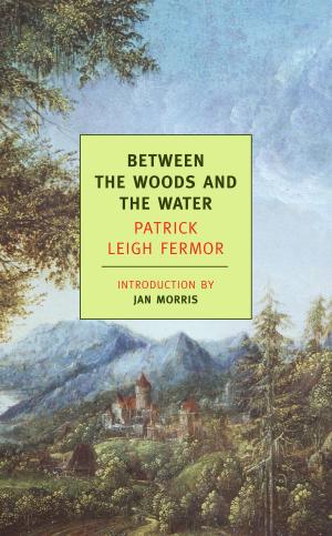 Cover of the book Between the Woods and the Water by Fabio Paone, Massimo Magazzù, Illustrazioni Di Francesco Magazzù
