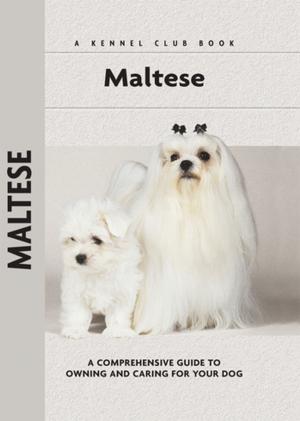 Cover of the book Maltese by David King, Katie Weeber, Colleen Dorsey