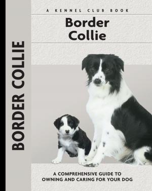 Cover of the book Border Collie by Vicki Hogue-Davies