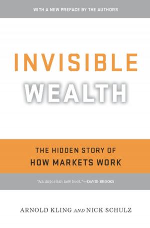 Cover of the book Invisible Wealth by David B Kopel