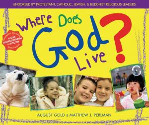 Cover of the book Where Does God Live? by David La Piana, Heather Gowdy, Lester Olmstead-Rose, Brent Copen