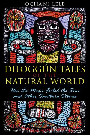 Cover of the book Diloggún Tales of the Natural World by Scott Lape
