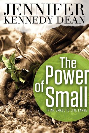 Cover of the book The Power of Small by Kimberly Sowell