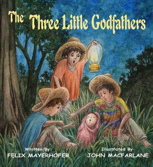 bigCover of the book The Three Little Godfathers by 