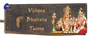Book cover of Vijnana Bhairava Tantra