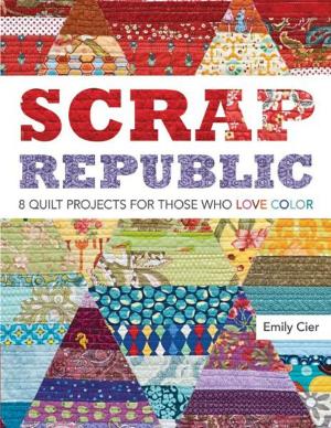 Cover of the book Scrap Republic by Brian Haggard
