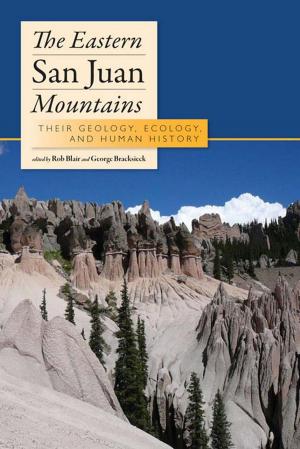 Cover of the book The Eastern San Juan Mountains by Steven Sabol