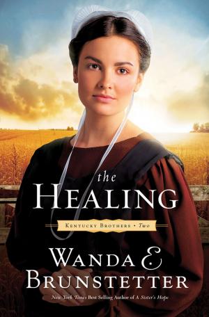 Cover of the book The Healing by Brenda Bancroft