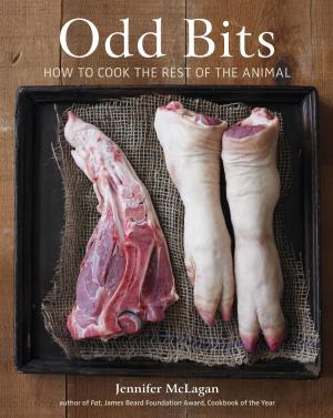 Book cover of Odd Bits