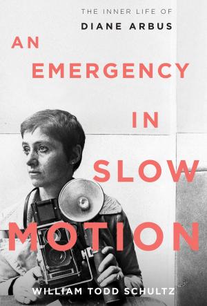 Cover of the book An Emergency in Slow Motion by Mr Anthony Neilson