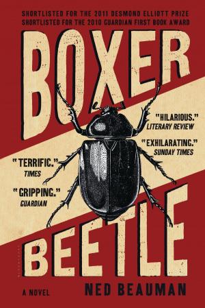 Cover of the book Boxer, Beetle by Ray Connolly
