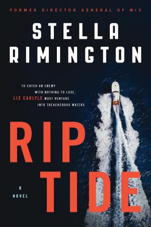 Cover of the book Rip Tide by Professor Josephine Donovan