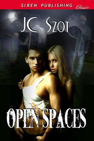 Cover of the book Open Spaces by Paige Cameron
