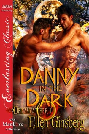 Cover of the book Danny in the Dark by Verity Vixxen