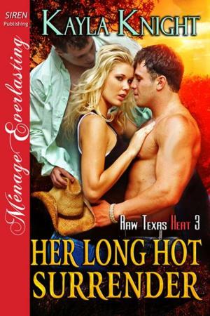 Cover of the book Her Long Hot Surrender by Becca Van