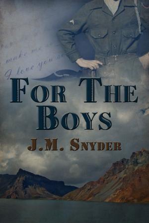 Cover of the book For the Boys by A.R. Moler